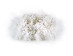 Beyaz Lazer Çiçek 12 ad