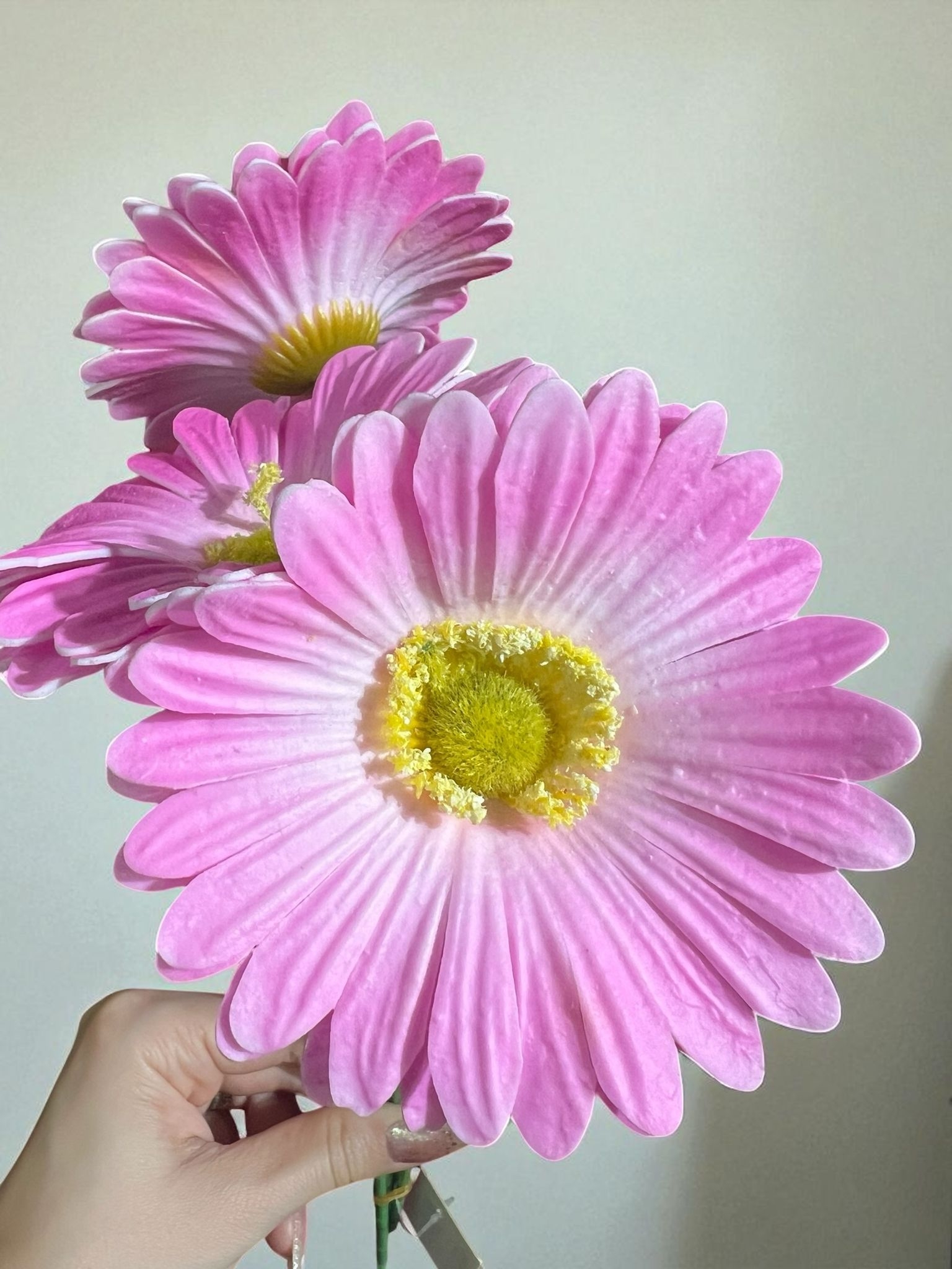 Happyland Yapay Çiçek Garbera Islak Papatya Pembe Renk 3 Adet HPY-26216