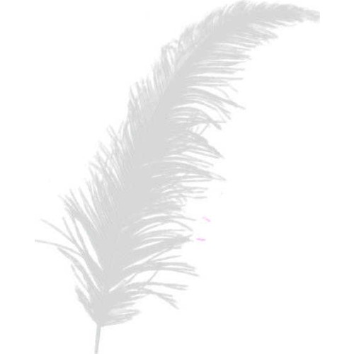  Süsleme Tüyü Beyaz 12 cm