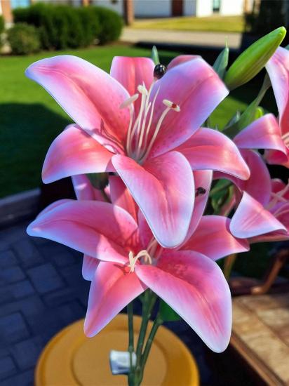 Happyland Yapay Çiçek Lilyum Demeti Pembe 9 lu 50 cm