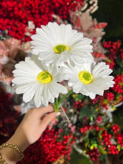 Happyland Yapay Çiçek Garbera Islak Papatya BEYAZ Renk 3 Adet HPY-26216