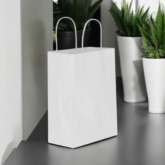 Happyland Gümüş Karton Çanta Büyük Boy Büküm Saplı 25 Adet 31*12*41 cm