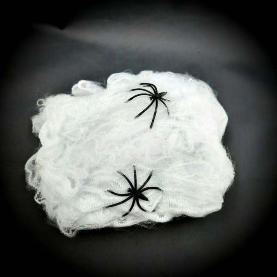 Halloween Küçük Örümcek Ağ 20GR