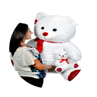 Peluş Ayılar